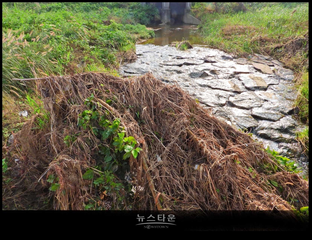 원주섬강 장마가 지나간 후 장면