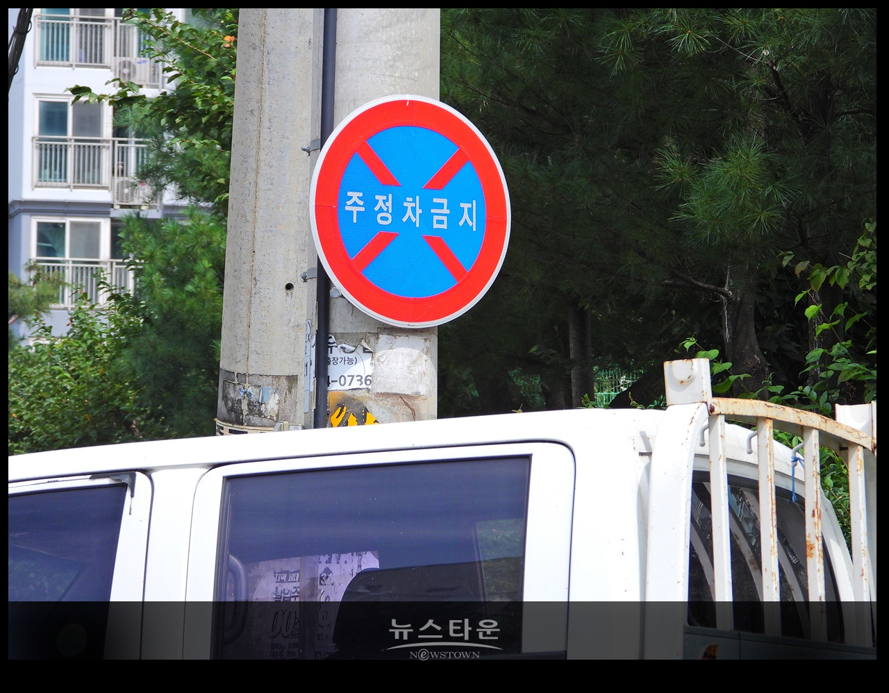 양심없는 운전자