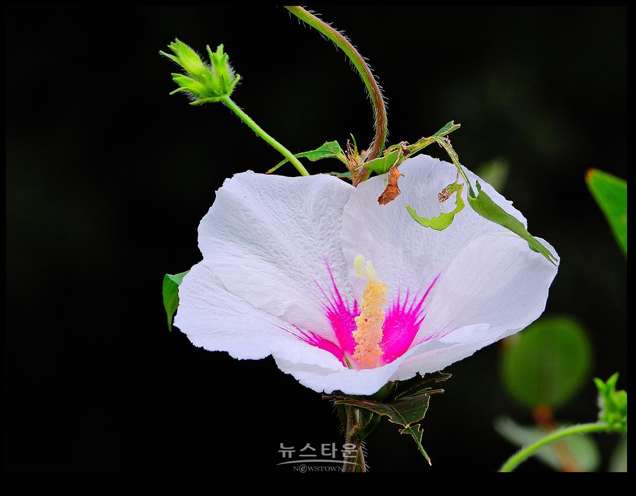 가을이 익는 사진