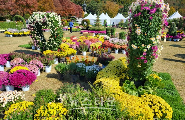 2022년 아산시국화전시회