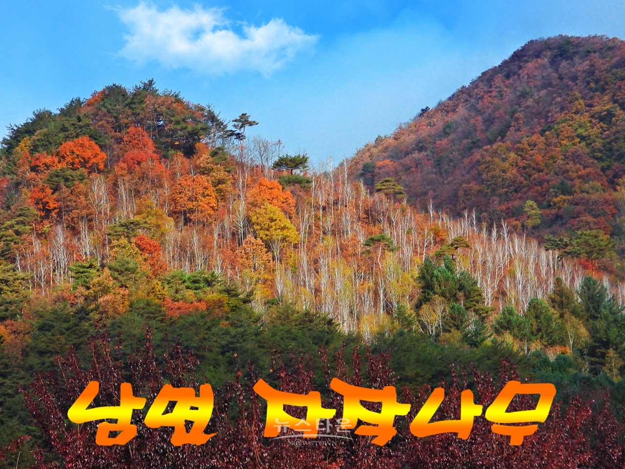 가을 어느날 인제가는길에