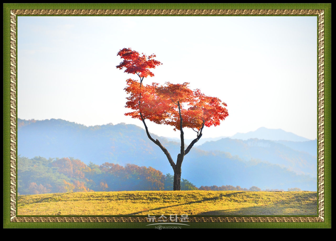 연세대 미래캠퍼스의 가을풍경