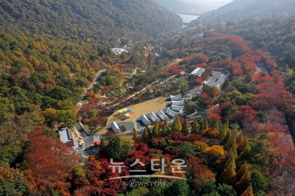 월아산 숲속의 진주 전경