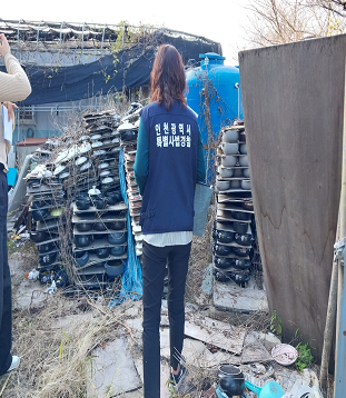 단속사진