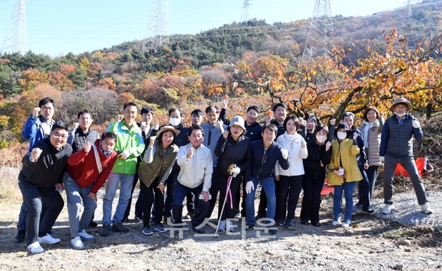 단감농가 일손돕기 봉사활동