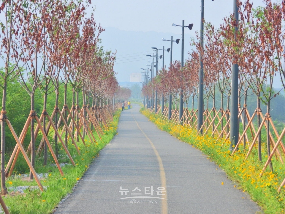원주시 가로등자료사진