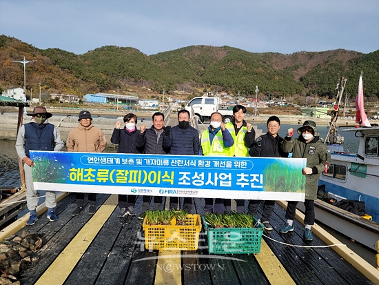 창원사는 진동만 다구리 해역에 잘피숲을 조성한다(사진=창원시)
