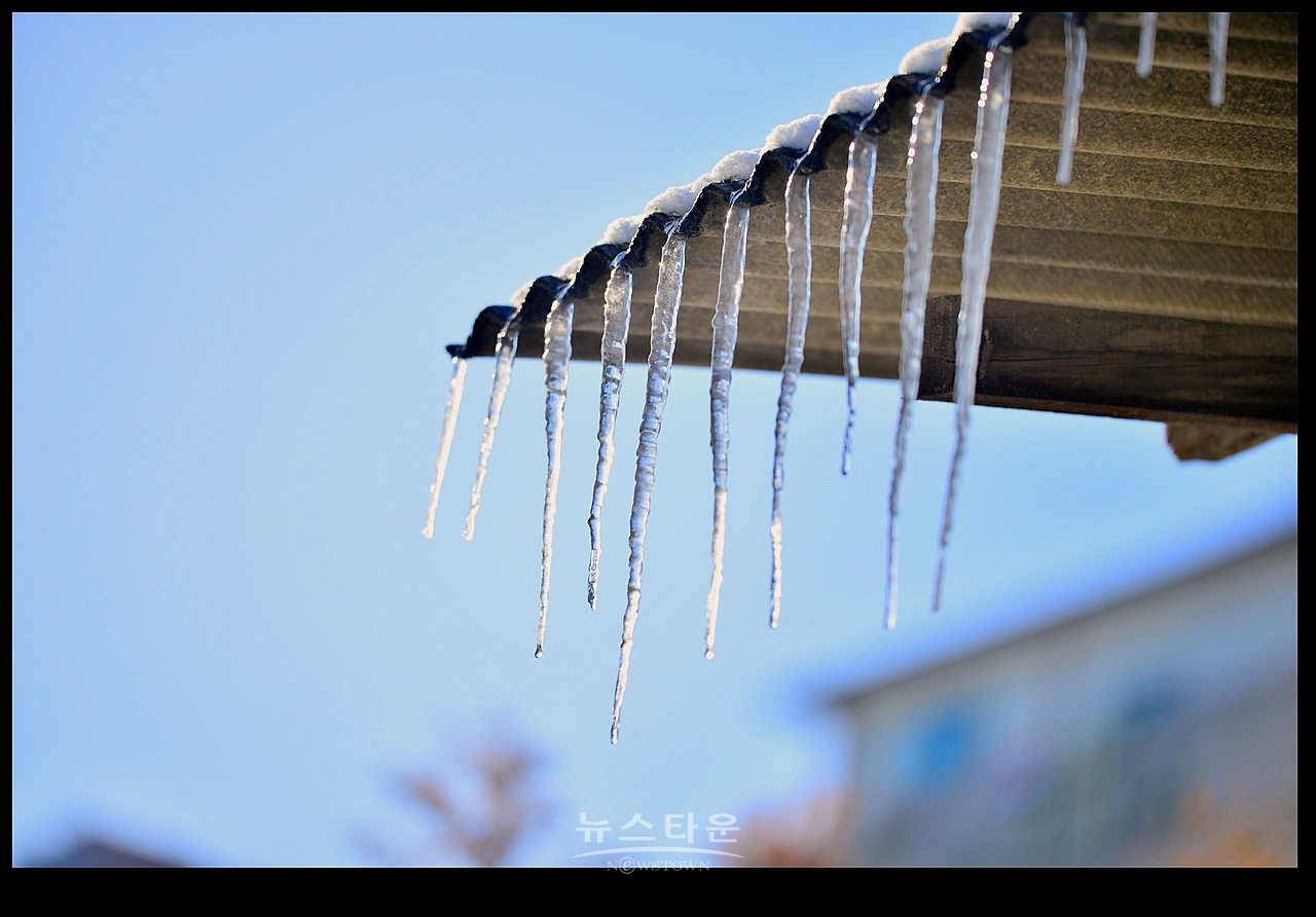 고드름이 열렸어요