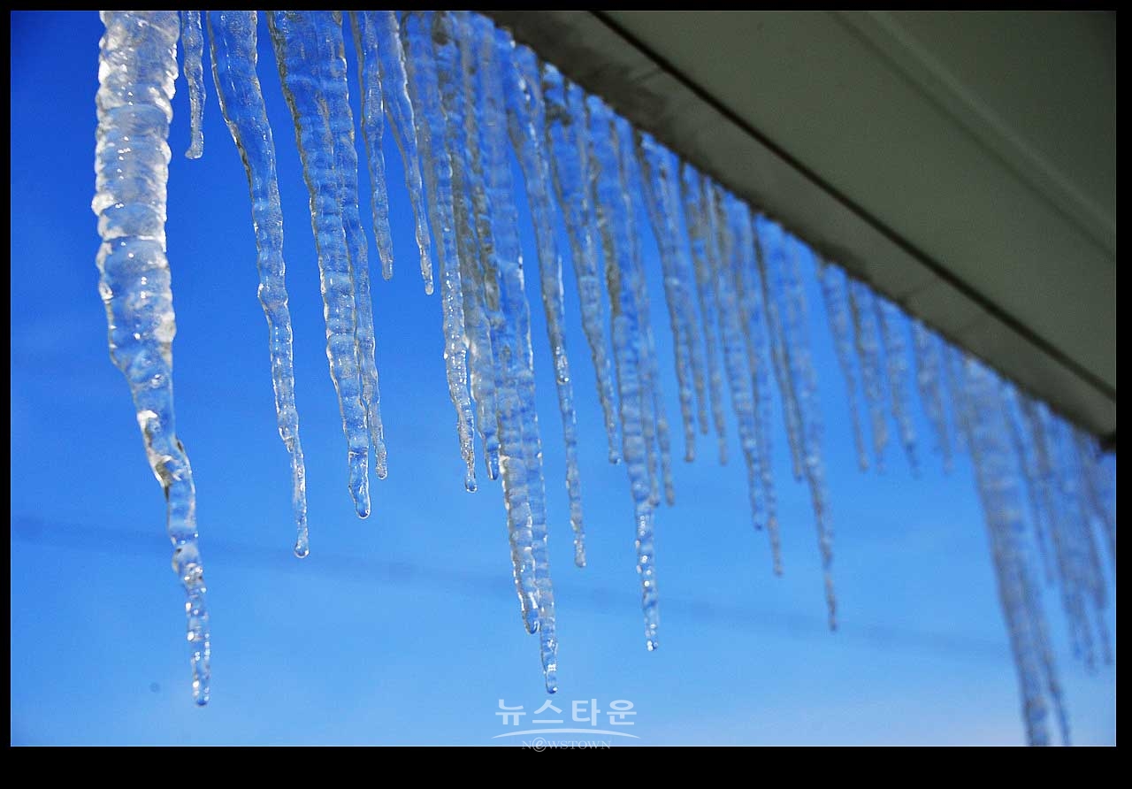 고드름이 열렸어요
