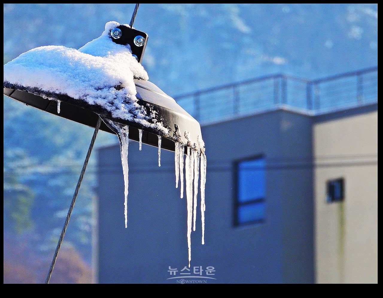 고드름이 열렸어요