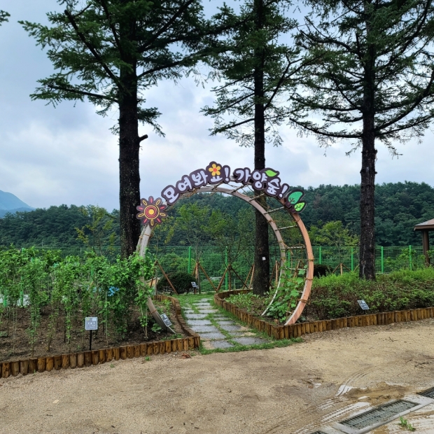 수동면 비룡로 1243번길 7 가양초등학교(학교숲)