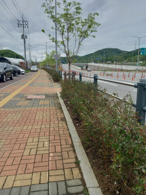 별내면 광전리 370-23(가로숲길)