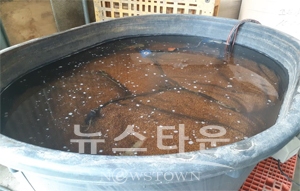 볍씨 종자소독
