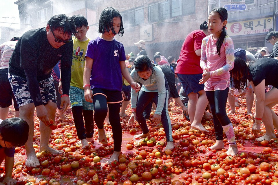 토마토축제중 황금반지를 찾아라 행사사진 (예전 자료사진)