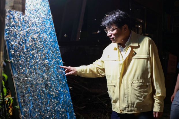 끈끈이 보드를 살펴보고 있는 이석범 남양주시 부시장