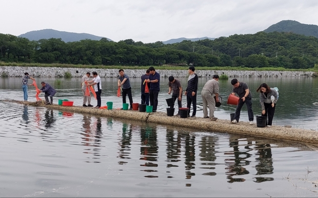 경주시는 지난 29일 형산강 유역에 동남참게 2만 5000마리, 은어 2만 5000마리, 잉어 3만 마리를 방류하고 있다.