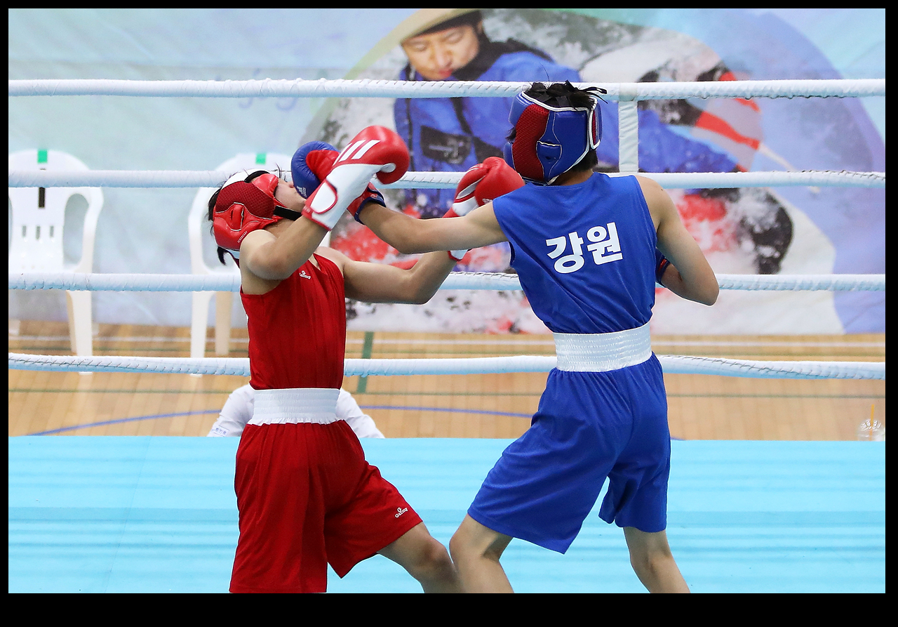 지난대회 자료사진