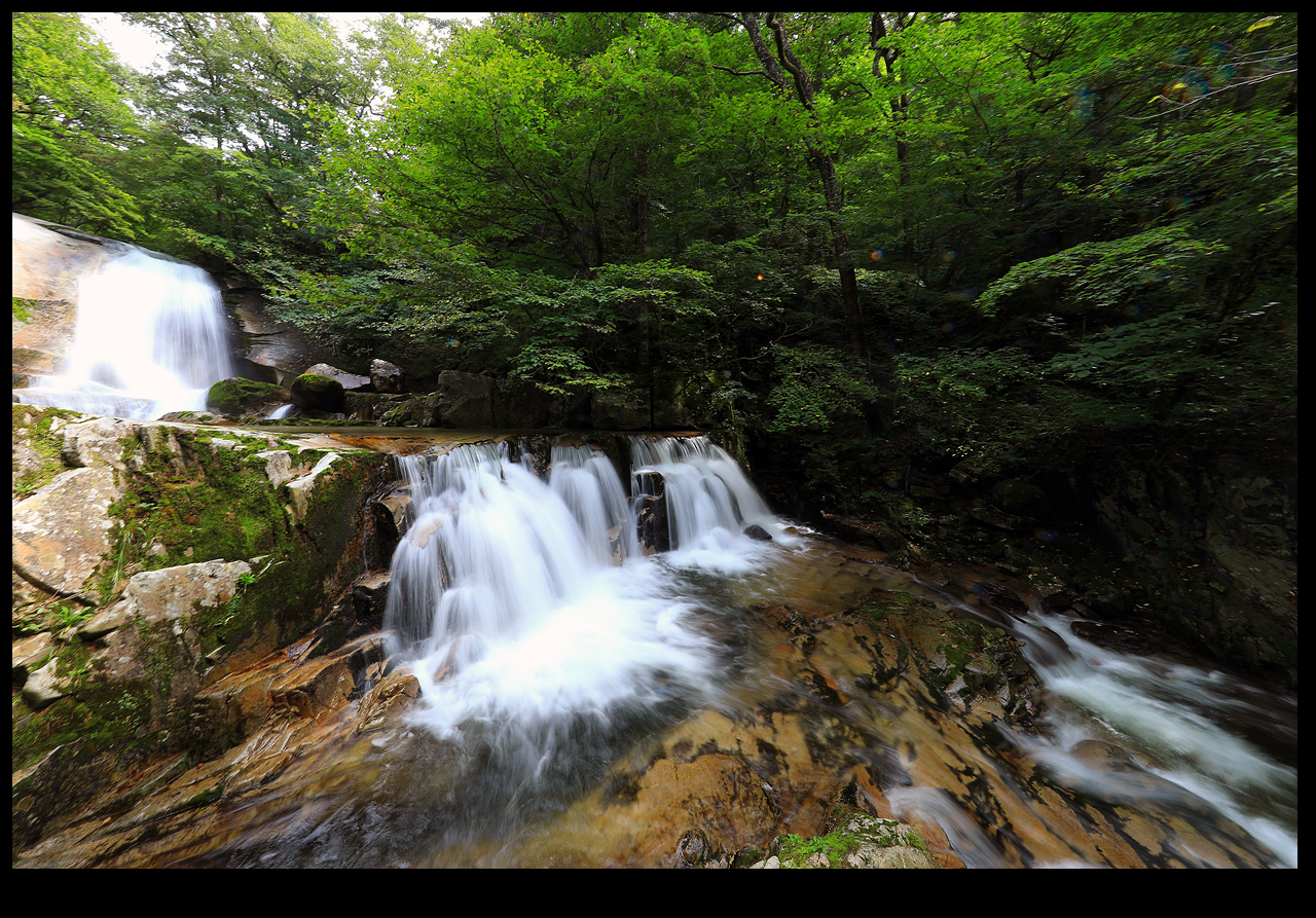 사진제공 : 인제군청