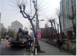 위험목 제거작업