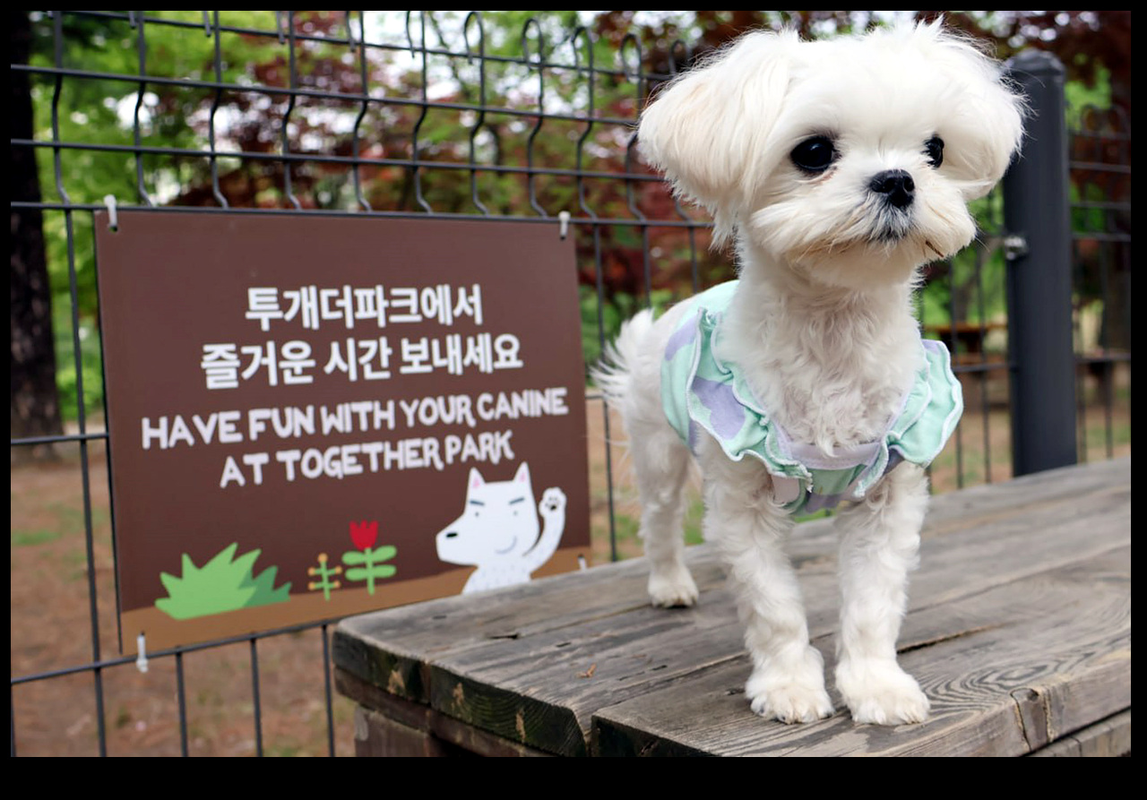 사진 : 남이섬제공