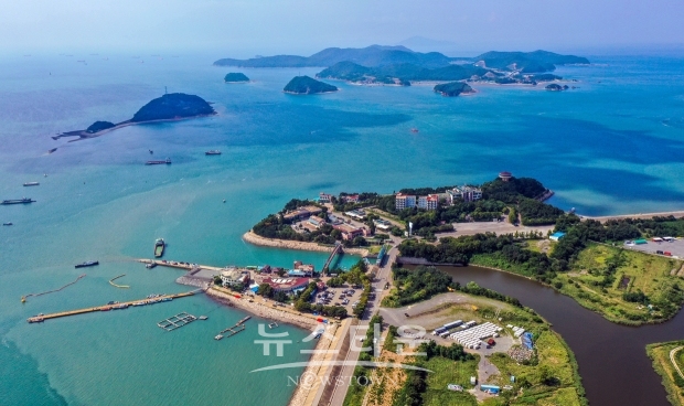 도비도