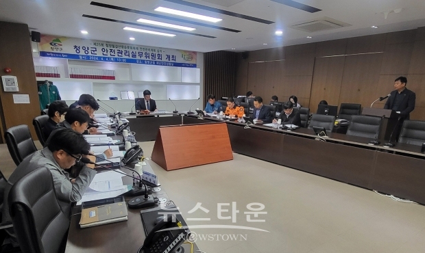 제25회 청양칠갑산장승문화축제 안전관리 실무위원회