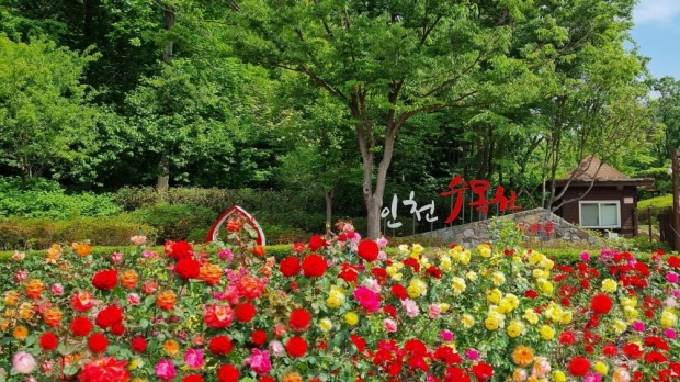 인천수목원 배경사진