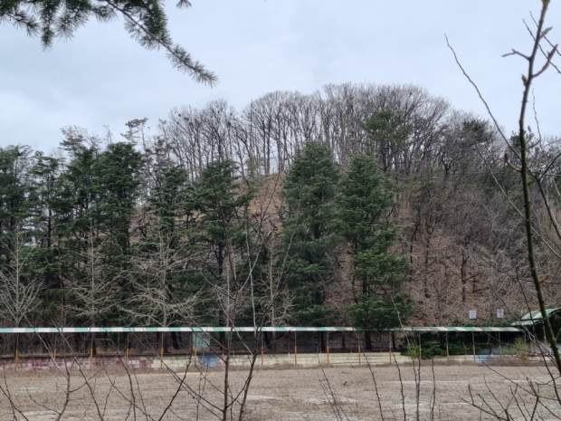 효자동 인근 야산 전경