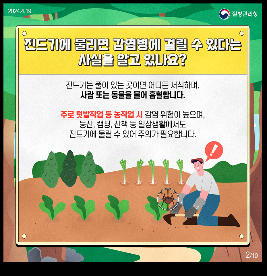 카드뉴스