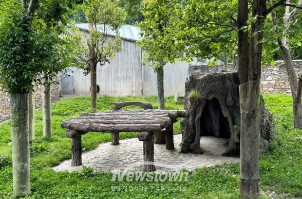 푸바오가 지낼 방사장/판다월드