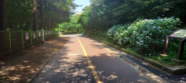 월미공원 둘레길