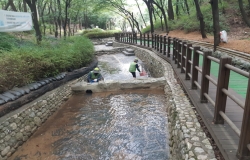 실개천형