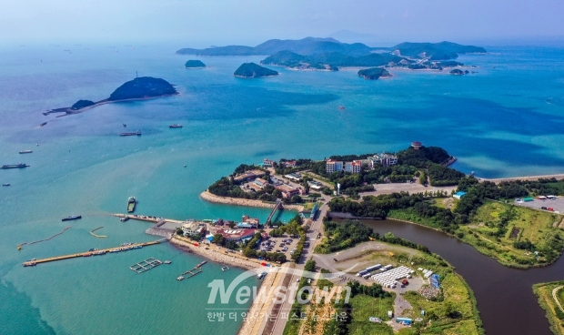 도비도