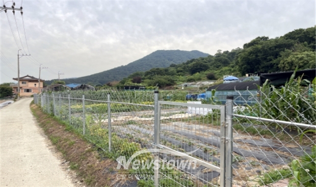 철선 울타리