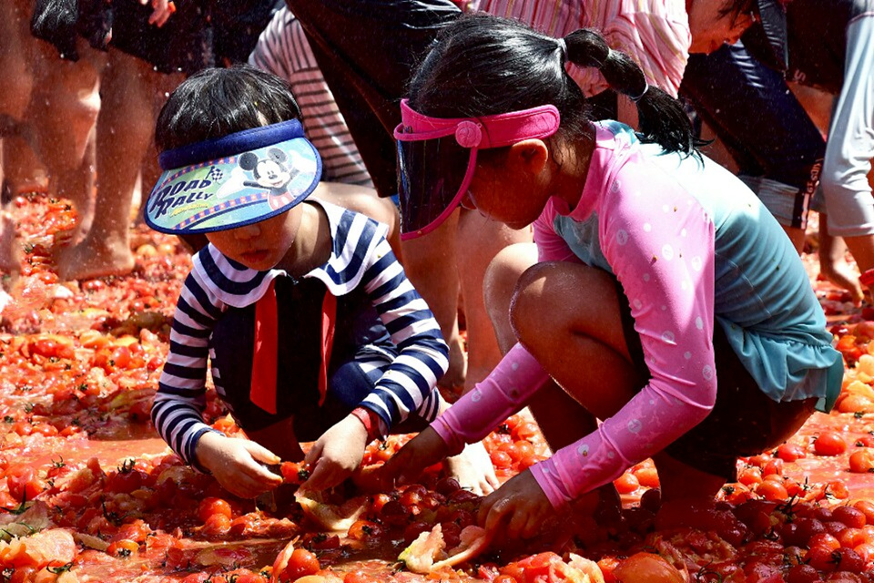 토마토축제 자료사진 (횡성군청제공)