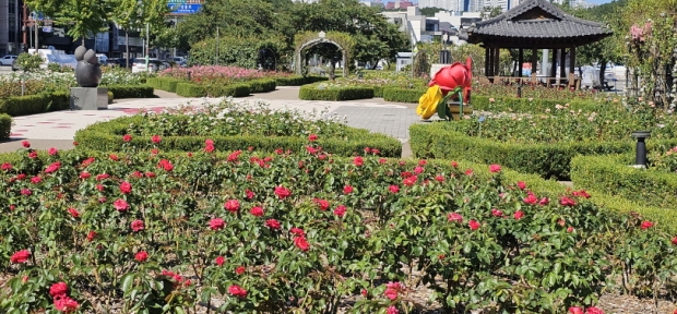 영일대 장미원 전경
