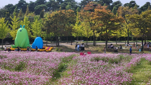 2023년 야생화단지 가을나들이 행사 사진