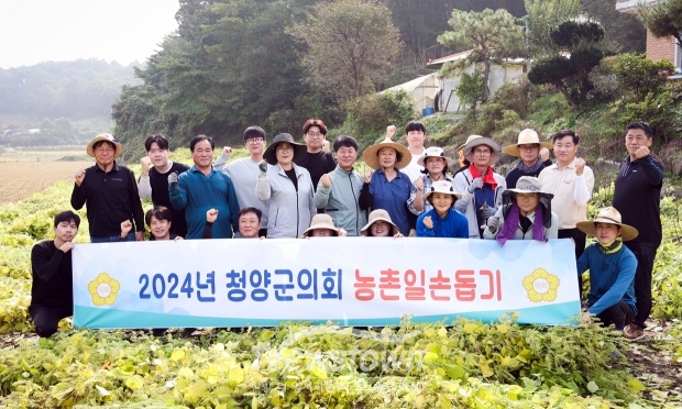 청양군의회가 지난 10월 17일 청양군 화성면 화강리에 위치한 농가를 방문해 봉사활동을 실천했다. 김기준 의장을 비롯한 군의원 7명과 의회사무과 직원 16명은 고추 부직포 및 지주대 제거, 들깨 베기 등 여러 작업에 구슬땀을 흘렸다.