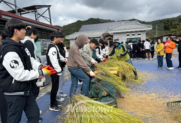 벼마당질 농경문화 체험행사(호롱기 탈곡)