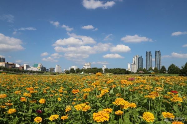 울산태화강 국가정원 전경.