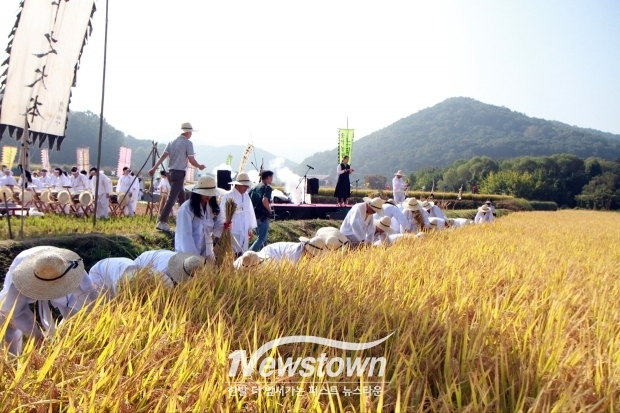 에코 농(農) 페스티벌 전통 벼베기 행사