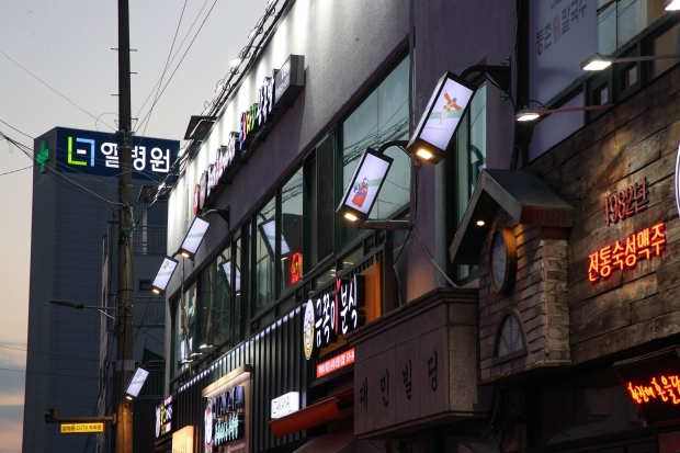 점등된 간퍈 근경