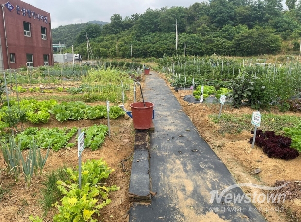 / 사진=여수시청 제공