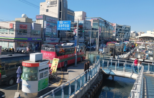 지난 8일 죽도어시장 인근에 줄지어 서있는 관광버스