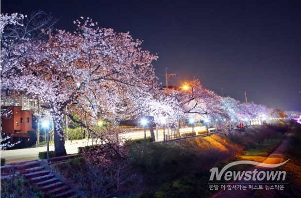 / 사진=정읍시청 제공