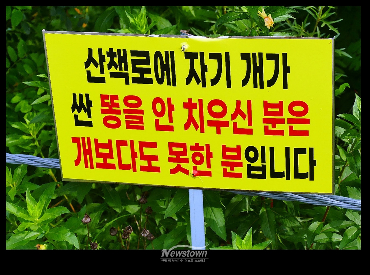 위트넘치는 안내판과 내용