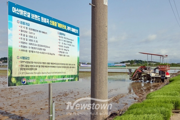 아산맑은쌀 원료곡 신품종 ‘해맑은벼·달맑은벼’ 이앙 행사