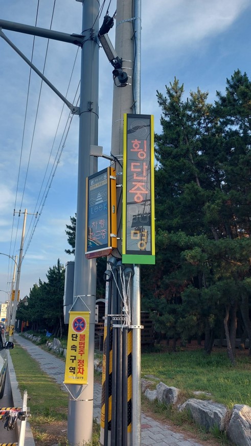 송도동 바다시청 앞에 설치된 스마트 횡단보도