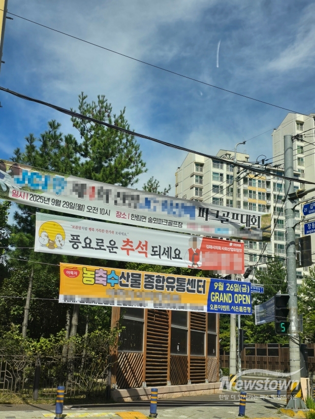 김해시 진영읍 코아루아파트사거리 불법현수막/김국진 기자
