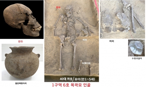 삼국시대 최대 고인골 유적 김해 예안리고분군 발굴조사 예안리 6호(40대여성,유아)
